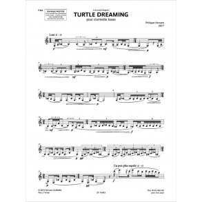 Turtle Dreaming : pour clarinette basse